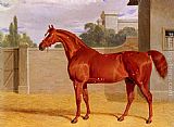 John Frederick Herring Snr A Chestnut Racehorse in a Stable Yard painting